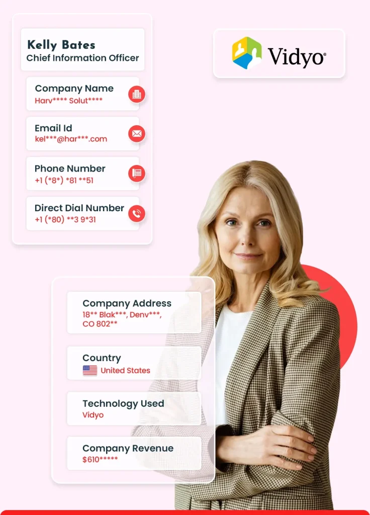 Vidyo Users Email List